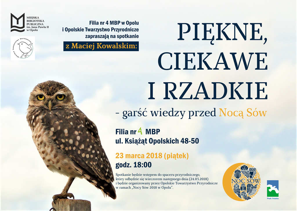 Read more about the article Piękne, ciekawe i rzadkie: garść wiedzy przed Nocą Sów!