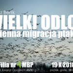 „Wielki odlot – jesienna migracja ptaków” – spotkanie przyrodnicze z Łukaszem Berlikiem