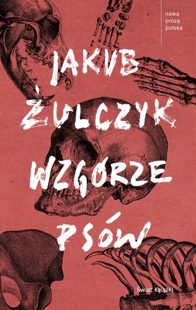 Read more about the article Jakub Żulczyk – Wzgórze psów