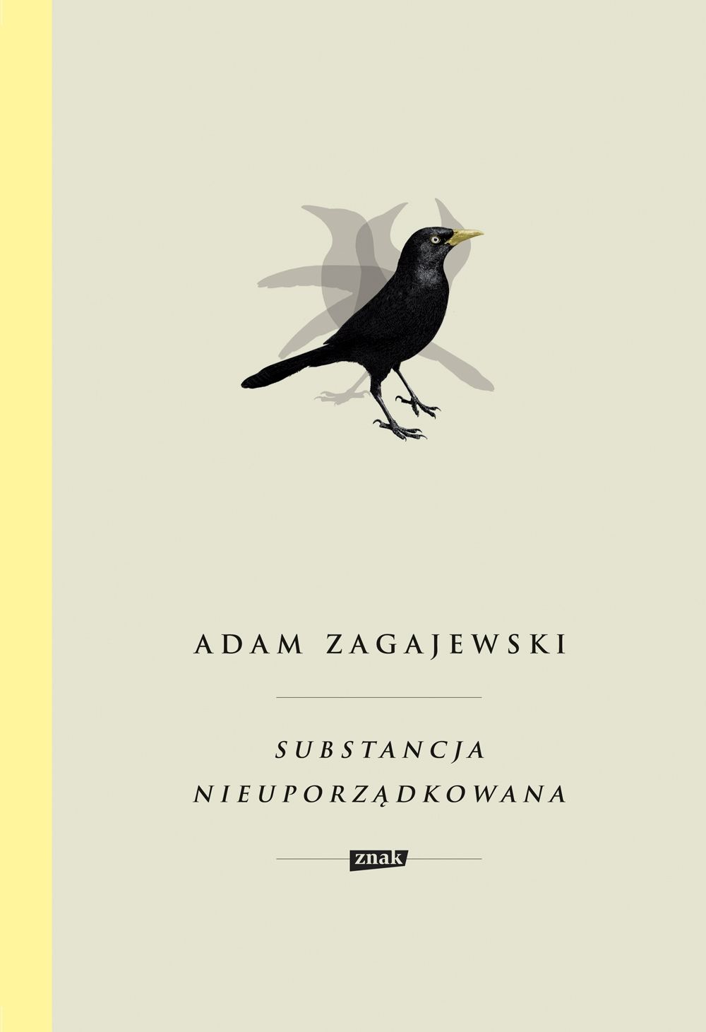 Read more about the article Adam Zagajewski – Substancja nieuporządkowana