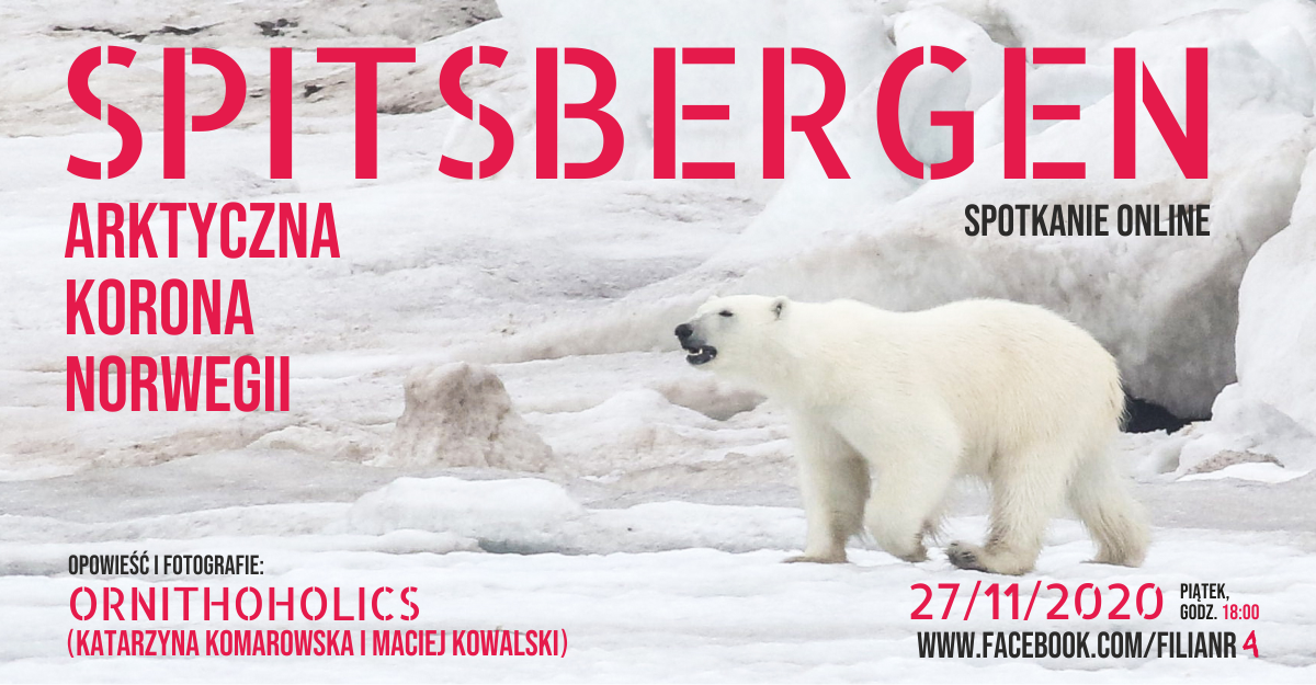 „Spitsbergen - arktyczna korona Norwegii” – spotkanie online z autorami bloga ORHITHOHOLICS