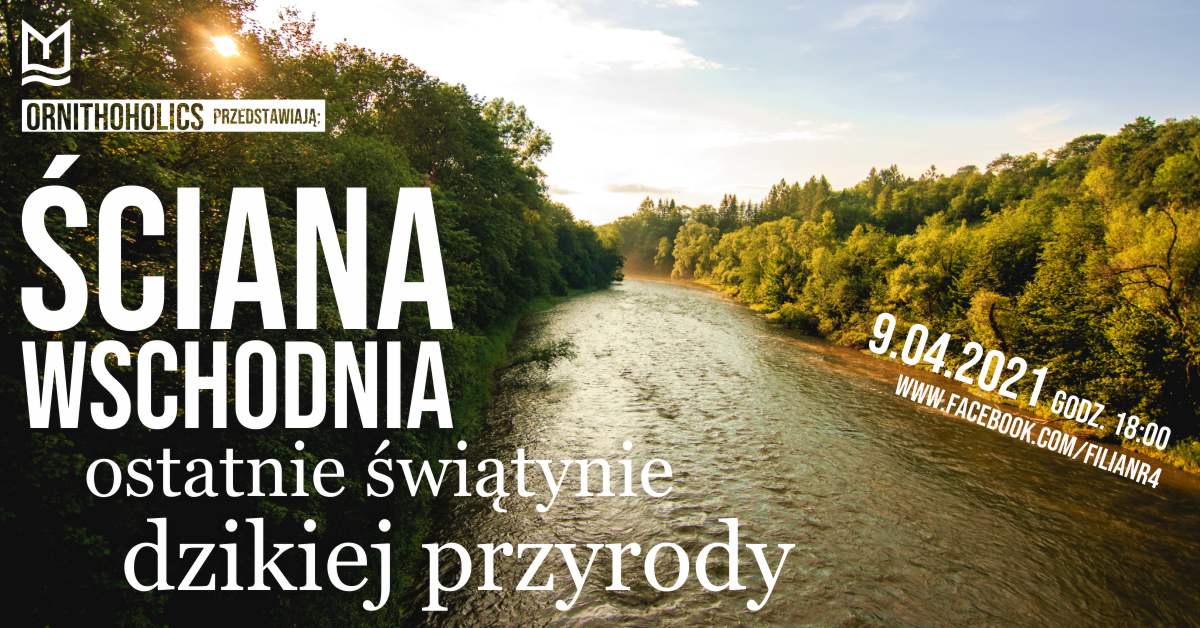 Read more about the article Ściana Wschodnia – ostatnie świątynie dzikiej przyrody