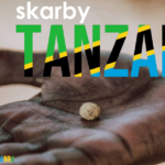 Skarby Tanzanii – spotkanie podróżnicze online z Patrykiem Szymańskim
