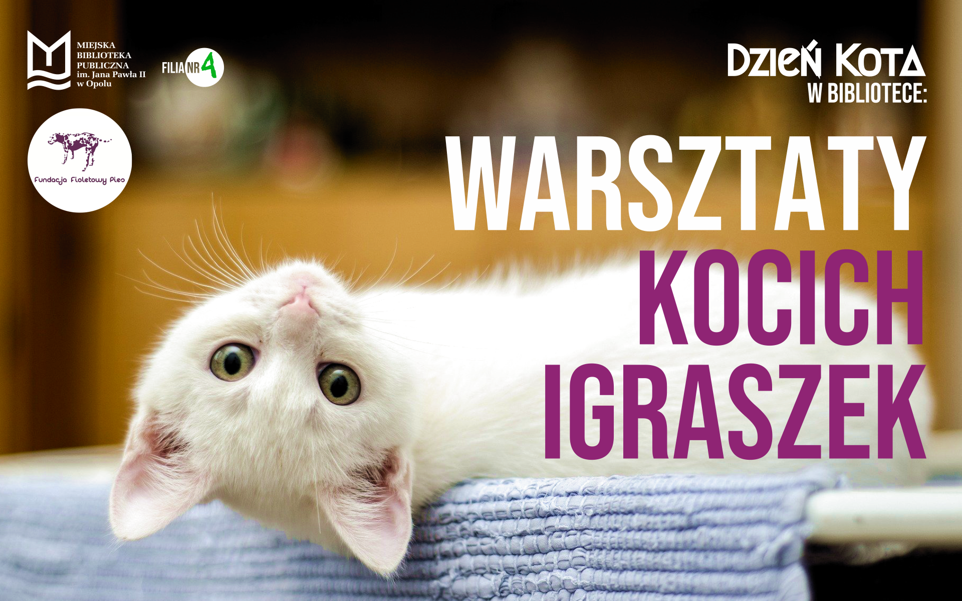Read more about the article Dzień Kota w bibliotece: Warsztaty kocich igraszek