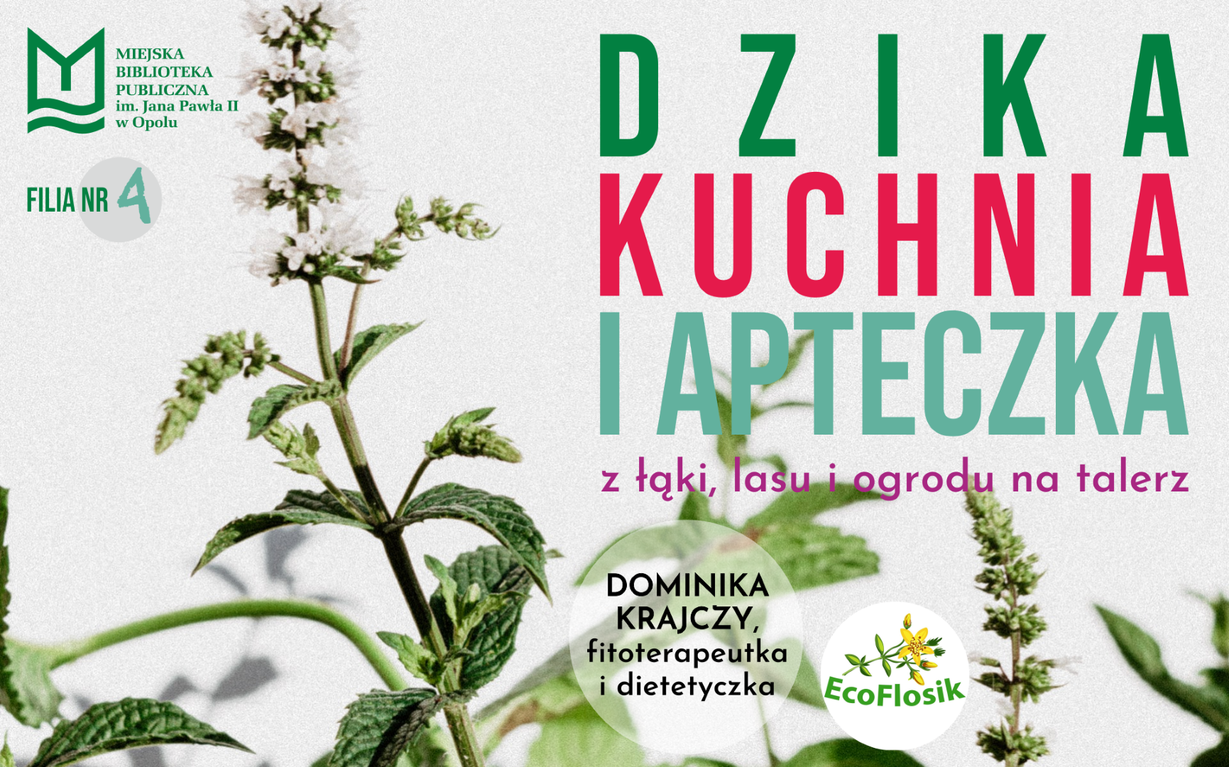 Read more about the article Dzika kuchnia i apteczka – z łąki, lasu i ogrodu na talerz – spotkanie z Dominiką Krajczy, dietetyczką i fitoterapeutką